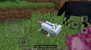 Я играю в Minecraft
