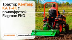 Трактор Кентавр КА Т-4К с почвофрезой Flagman ЕКО в работе