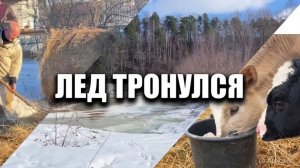 Первая апрельская неделя