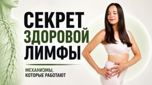 Почему «разгон лимфы» — это миф? Вся правда о ЛИМФАТИЧЕСКОЙ СИСТЕМЕ