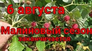 Едим малину, ремонтируем машину