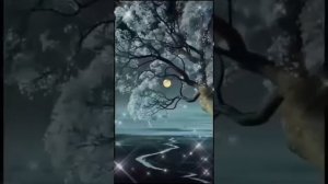 1000031565.mp4