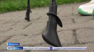 Внезапный тренд: скандинавская ходьба теперь в топе у молодёжи