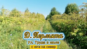 Деревня Пермята, улица Труда в июле с юга на север.mp4