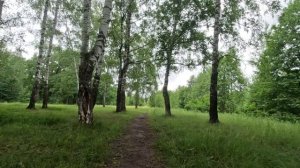 прогулка в лесу серия 47
