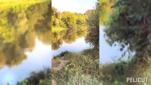 прогулка с сыном до десны