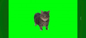 ОКАК