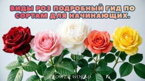 Виды роз подробный гид по сортам для начинающих.