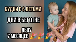 7 месяцев 🎉 дни в беготне