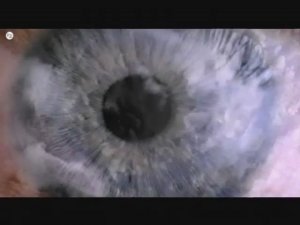 WWF - What a Wonderful World (2012)