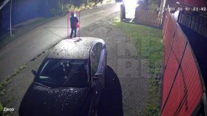 Медведица кинулась на прохожего в Ивделе. Видео: чат с главой Ивделя Игорем Сусловым