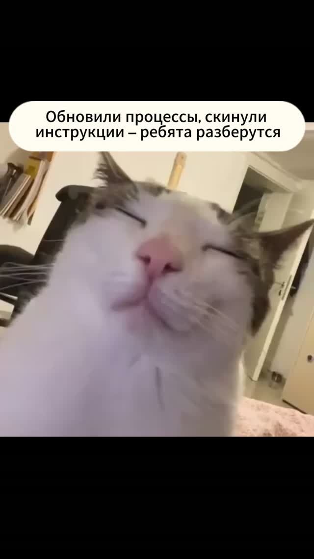 Мы отправили инструкцию