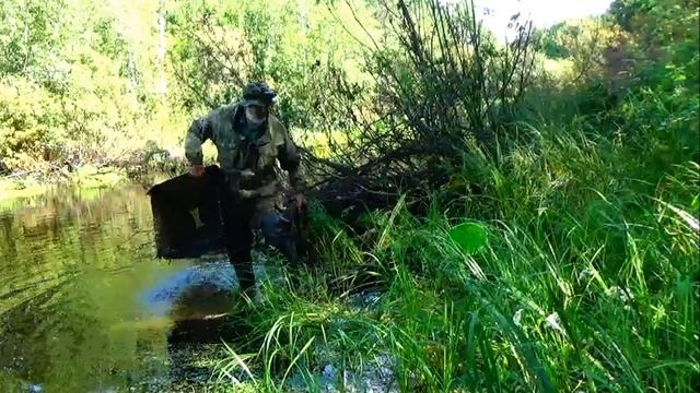 Как ловится карась на химические активаторы клёва #5 Наш улов и запах дракона
