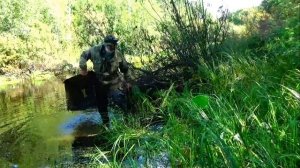 Как ловится карась на химические активаторы клёва #5 Наш улов и запах дракона