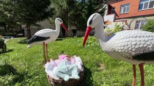 Лето малыши август
