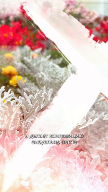 БАРХАТЦЫ ЗДЕСЬ НЕ ТОЛЬКО ДЛЯ КРАСОТЫ 🌼🤫