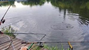 Карпуша