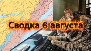 Сводка 6 августа