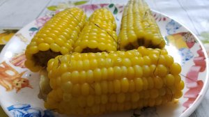 КУКУРУЗА 🌽 С ДАЧИ