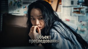 МЕСТЬ В ИНТЕРНЕТЕ: КАК КОММЕНТАРИЙ ПОЧТИ УБИЛ ДЕВУШКУ | Объект преследования
