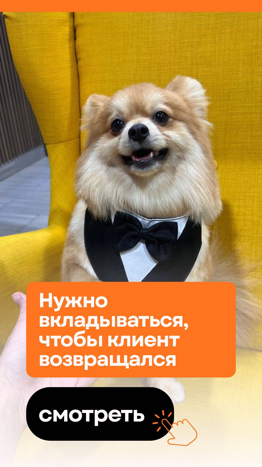 Нужно вкладываться, чтобы клиент возвращался