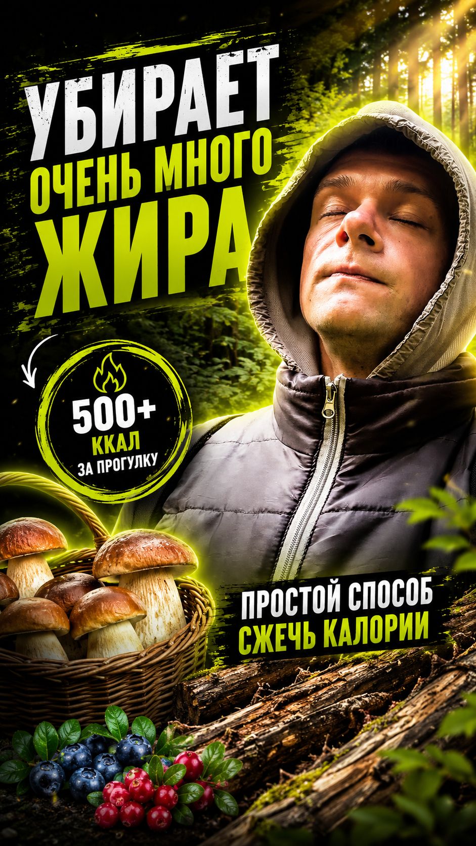 Покажу способ сжигать больше жира #похудение #сжигаемжир #дефициткалорий #ходьба #активность #лес