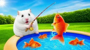 Пушистик пытается пройти лабиринт 🐹 Веселые приключения хомячка