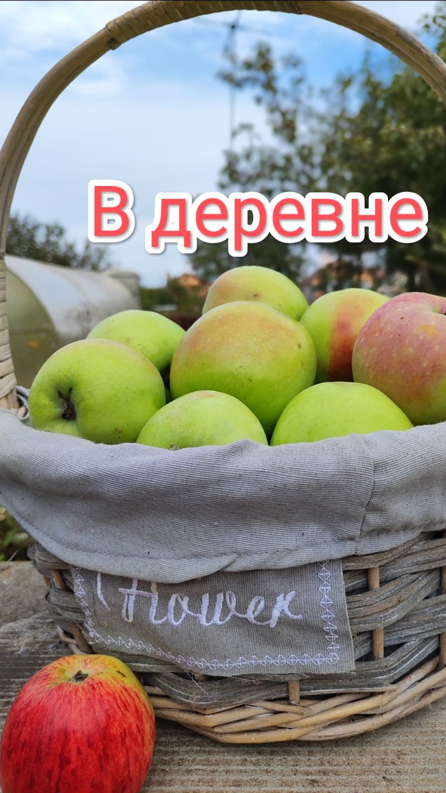 В деревне