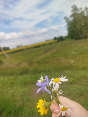 ну жду вопросов отвечаю на все вопросы 😘