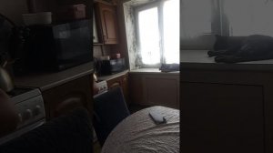 моя сестра игрушка??!!!..😱