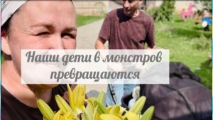 Обзор статьи «Все сдают и продают в убыток...»