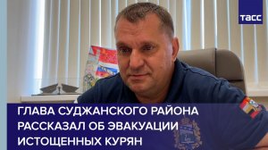 Глава Суджанского района рассказал об эвакуации истощенных курян