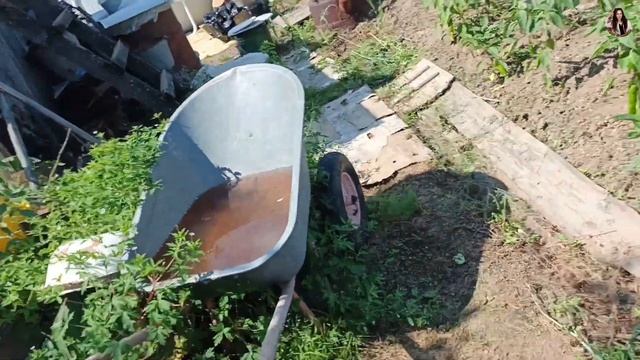 Собираю урожай и уезжаем в город из деревни Купаемся в деревенском бассейне — максимум веселья!Лето