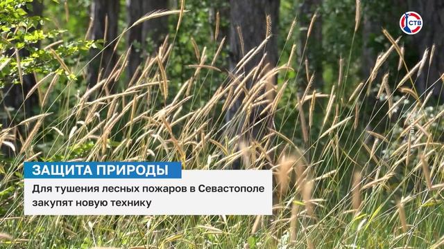 Для тушения лесных пожаров в Севастополе закупят новую технику