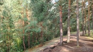 Хорошо ли жилось в СССР? Бесплатные квартиры и гарантированное трудоустройство?