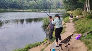 Чистая кукуруза