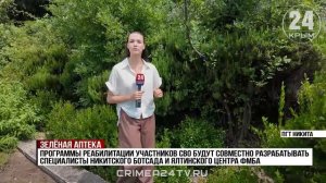Антибиотики отступают: крымские учёные разрабатывают новые антисептики из растений