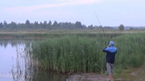 ТУТ ТАКИЕ КАРАСИ ХОТЬ НА ВЫСТАВКУ НЕСИ!..