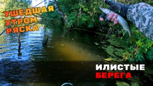 Одна из лучших рыбалок сезона! Забродка на пруду