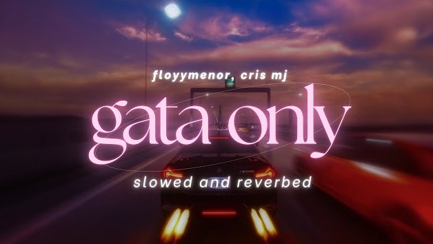 GATA ONLY (SLOWED)