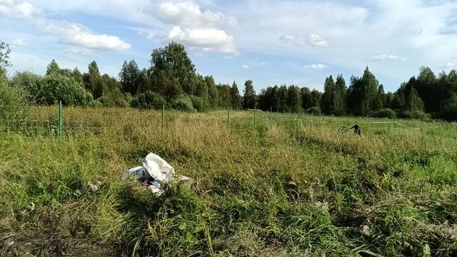 наше тыквенное поле - готовим место под бытовку