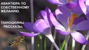 Авантюра на ровном месте. Танюшкины рассказы #15