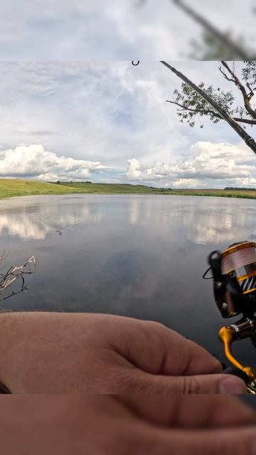 Поймал монстра на микроджиг #рыбалка