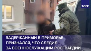 Задержанный в Приморье признался, что следил за военнослужащим Росгвардии