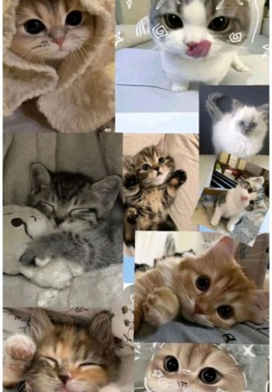 собираюсь на площадку