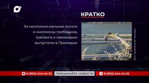 Кратко / 06.08.26