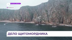 Пенсионерка попала в реанимацию после укуса змеи на полуострове Шкота