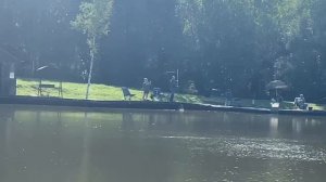 Карп