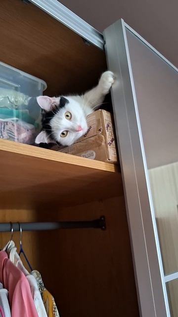 Чудик Роки🤗