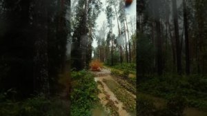 Segway 1000, Guepard 850, Aodes 1000mud